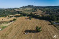 ballons_todi 198 july 19 2014